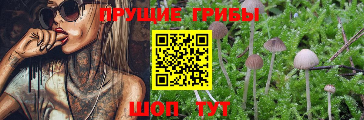 Галлюциногенные грибы мицелий  Псилоцибиновые грибы GOLDEN TEACHER  Нерюнгри  Вход с VPN 