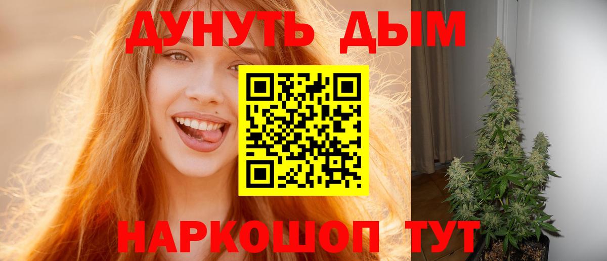 Бошки марихуана Bruce Banner  МАРИХУАНА планчик  Вход с VPN  Каннабис White Widow  Нерюнгри  Шишки марихуана Amnesia 